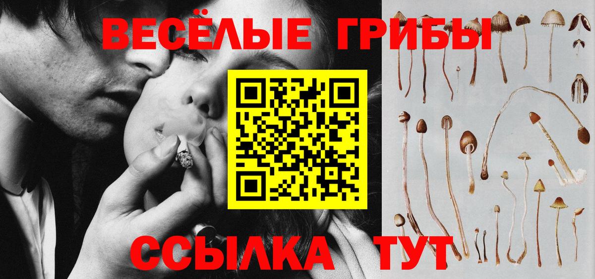 Галлюциногенные грибы Magic Shrooms  цены наркотик  Тулун  Вход с VPN 