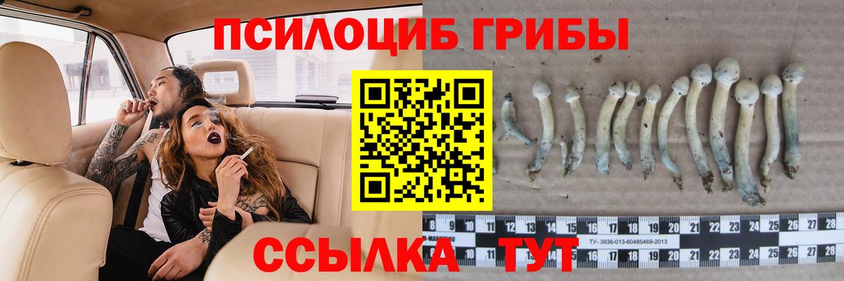 Псилоцибиновые грибы GOLDEN TEACHER Тулун